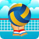 Volleyball Sport Game
